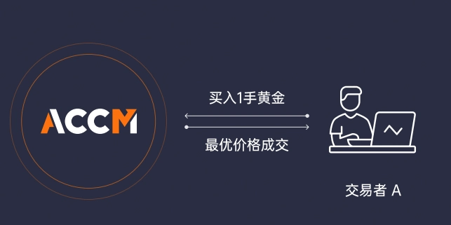 ACCM自动交易平台：ECN账户与官网指南